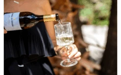 Berger Weinglas 2er Set 8 Berger Weinglas 2er Set -Zelte Store 594239 4331207