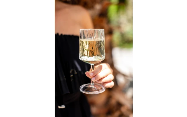 Berger Weinglas 2er Set 6 Berger Weinglas 2er Set – Bild 4